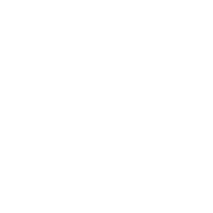 KINGSPEG LOGO